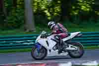 cadwell-no-limits-trackday;cadwell-park;cadwell-park-photographs;cadwell-trackday-photographs;enduro-digital-images;event-digital-images;eventdigitalimages;no-limits-trackdays;peter-wileman-photography;racing-digital-images;trackday-digital-images;trackday-photos